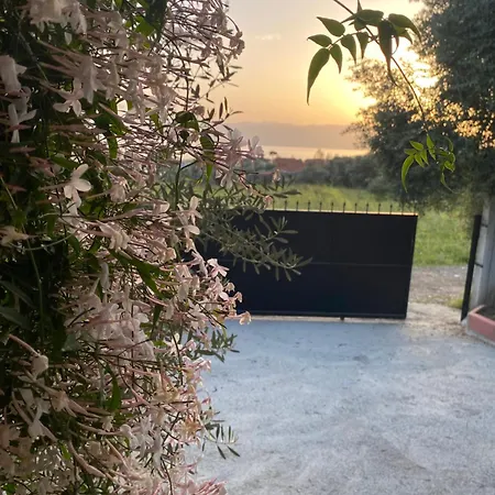 מלון Zeytinevi 4*